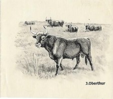 Joseph OBERTHUR Aurochs noirs
