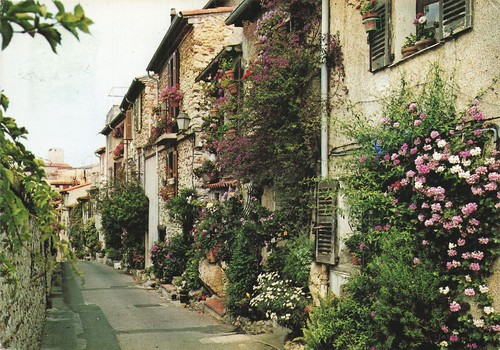 Antibes rue du - rue,