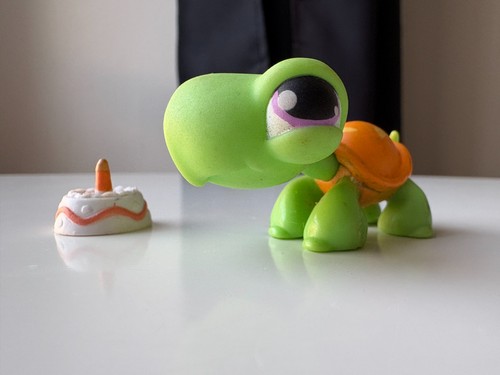 Petshop tortue 433 - petshop,