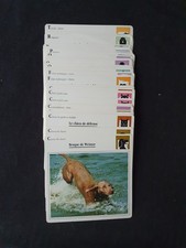 Lot 58 fiches Les animaux familiers Editions Atlas