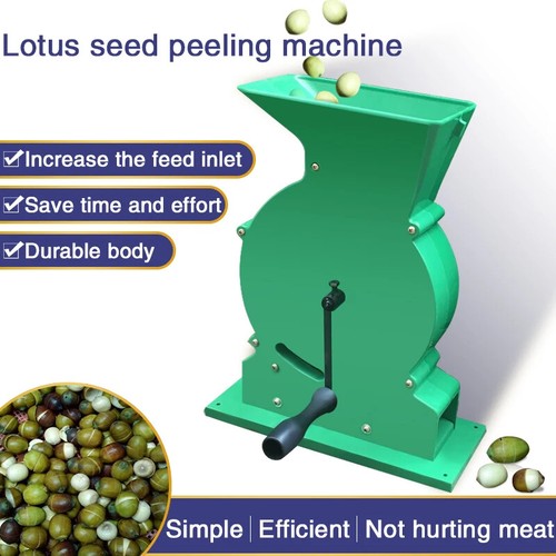 Electric tender lotus seed - tender,