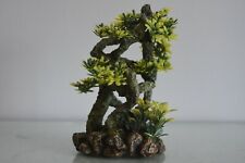 Aquarium Détaillé Bonsaï