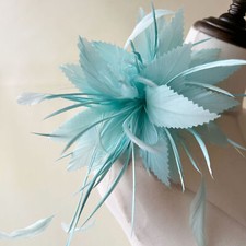 Fleurs Plumes Accents Plume