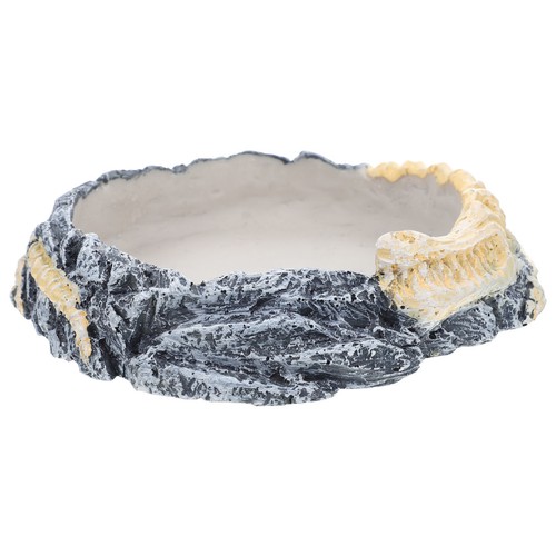 Plat eau tortue bol - d'eau,
