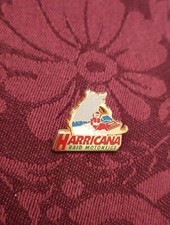 Pin's Pins Pin Enamel 18 ARTHUS BERTRAND Sport RAID MOTONEIGE "HARRICANA" 