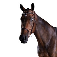 Collegiate - Licol en cuir