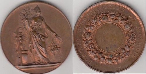 Médaille française bronze - médaille,