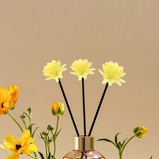  100 Pcs Parfum D'intérieur D'ambiance Maison De Chambre Diffuseur