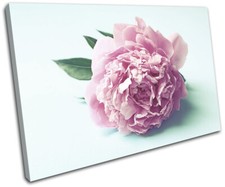 Vintage Flower Retro Botanical