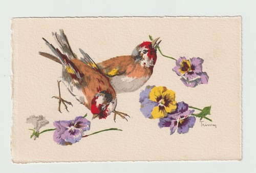 Oiseaux chardonnerets cpa - .,