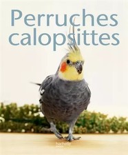 Perruche calopsitte