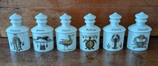 6 pots a epices en porcelaine