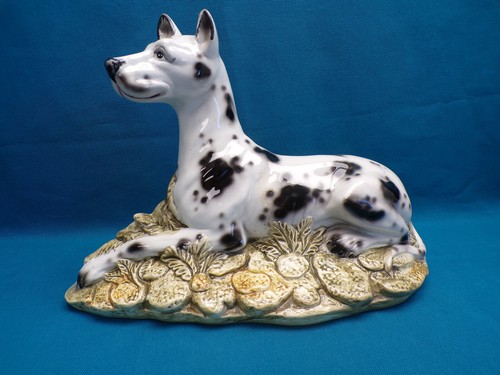 Dogue allemand dalmatien - dogue,