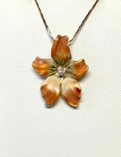 Orchidée fleur omc - orchidée,