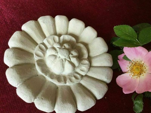 Rosace stucco stuckrosette - rosace,
