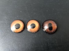 Ancien Yeux en Verre Taxidermie Gibier Chevreuil Renard Naturalisé Empaillé