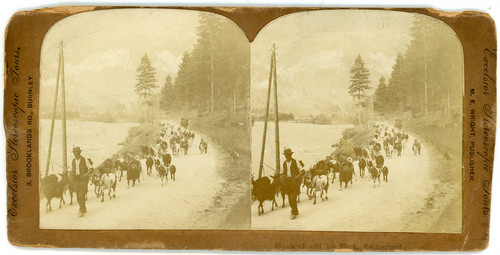Stereo suisse schweiz berger - stereo, suisse,