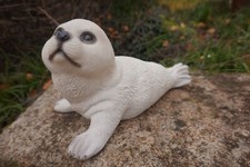 3329  SUPERBE  BEBE PHOQUE 29