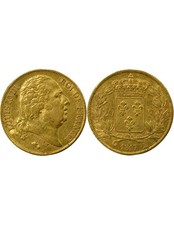 France Louis XVIII - 20 Francs