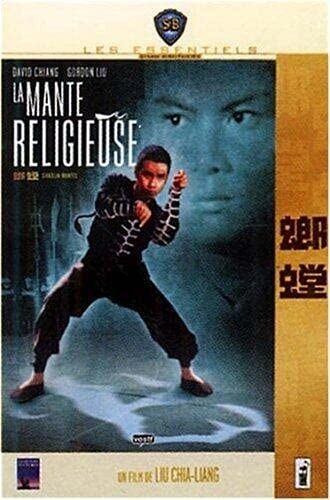 Mante religieuse - mante,