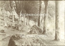 PONT-AVEN vers 1900 bois-d'Amour Finistère Bretagne