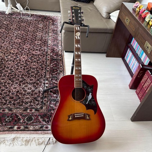Guitare acoustique suzuki - c.suzuki, &