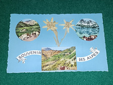 CPM - Souvenir des Alpes -