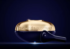 GÛÊRLÂÎN ORCHIDÉE