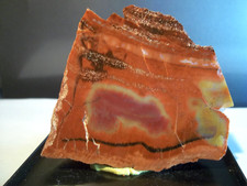 FOSSILE.  BOIS PÉTRIFIÉ (2).  Tranche 1 face polie.  Arizona, USA.  Paléoenviron