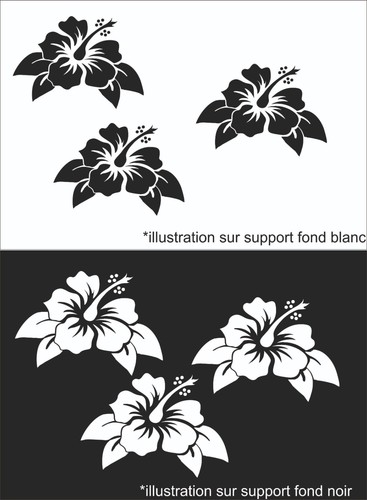 Fleur hibiscus pare brise - hibiscus,