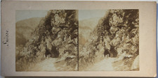 Suisse Swiss Vue de Montagne Photo stéréo Papier Vintage Albumine c1865