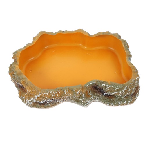 Plat nourriture pour - de,