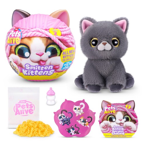 Pets alive smitten - pets, kittens