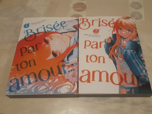 Lot mangas brisée - par, ton