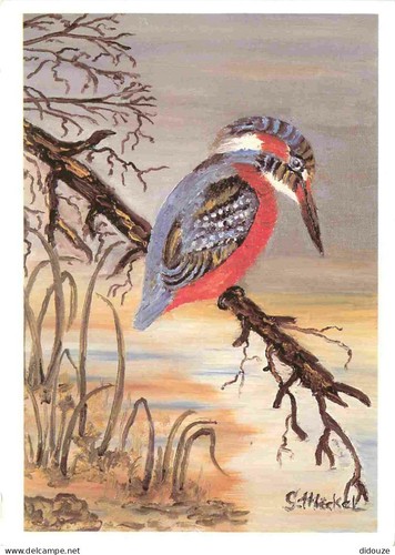 Carte postale animaux - postale,
