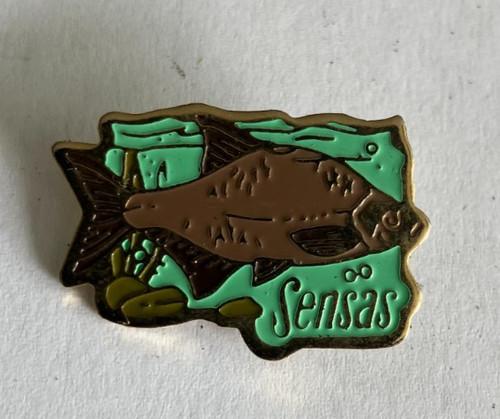 Pin peche sensas carpe - peche,