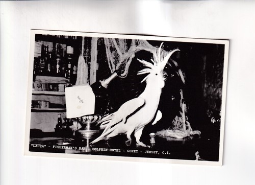 G674 carte postale - g674),