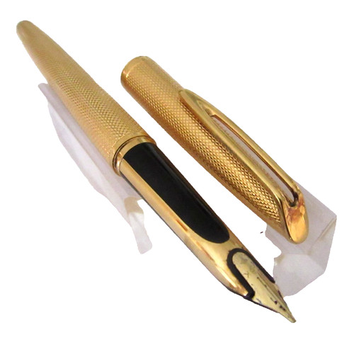 Captivant stylo plume waterman - stylo,