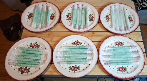 Anciennes assiettes à - 6,