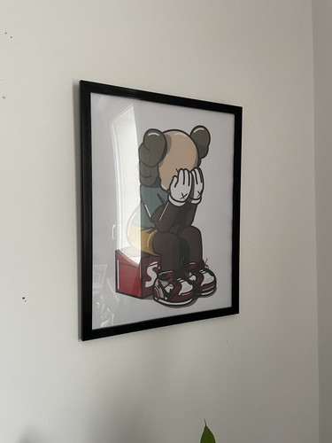 Cadre nike kaws - cadre, nike&kaws