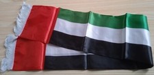 United Arab Emirates Fans