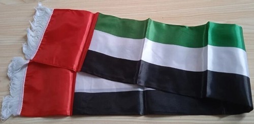 United arab emirates - united, fans