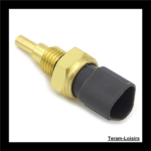 Sonde température thermostat - sonde,