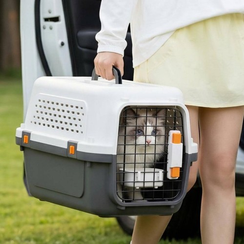 Caisse transport chien - caisse,