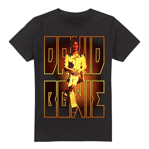 David bowie shirt perched - bowie, t-shirt
