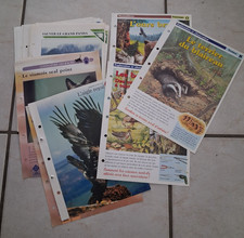 Lot de 32 fiches thème