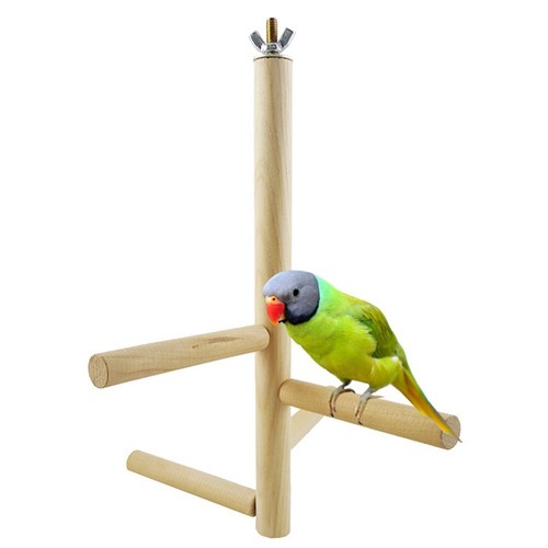 Jouet enrichissement cage - jouet, en