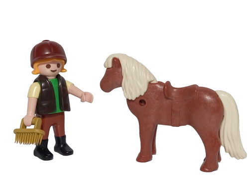 Figurines playmobil fille avec - fille,