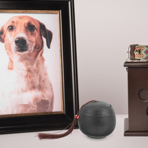 Urne crémation pour chien - urne, de