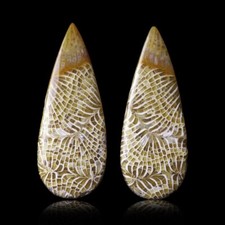 ★☆ CORAIL FOSSILE 24,00 CT